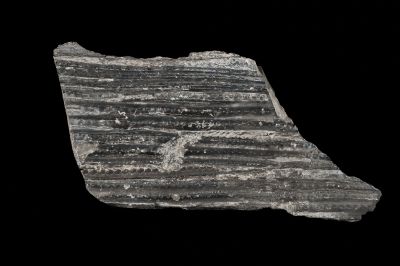 CAMPAGNE LEWARDE 2024_SESSION 2