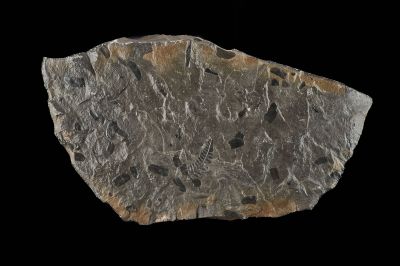 CAMPAGNE LEWARDE 2024_SESSION 2