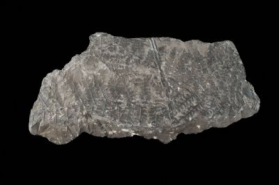 CAMPAGNE LEWARDE 2024_SESSION 2