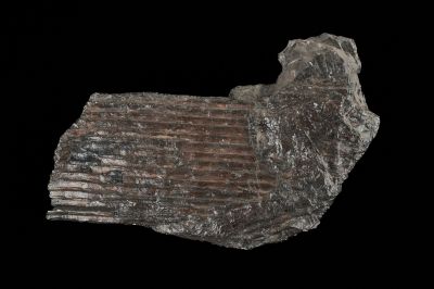 CAMPAGNE LEWARDE 2024_SESSION 2