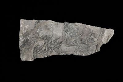 CAMPAGNE LEWARDE 2024_SESSION 2