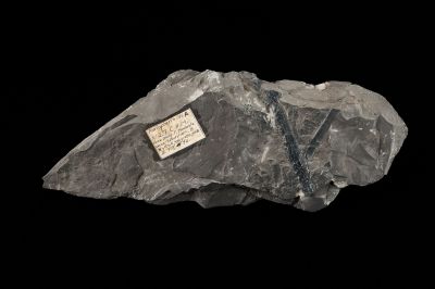 CAMPAGNE LEWARDE 2024_SESSION 2