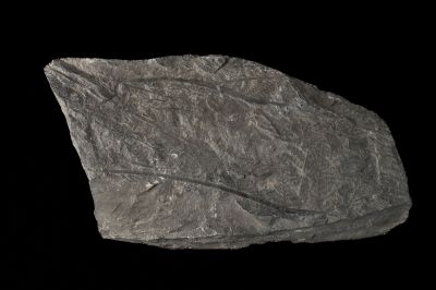 CAMPAGNE LEWARDE 2024_SESSION 2