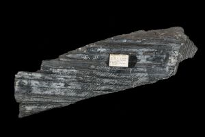 CAMPAGNE LEWARDE 2024_SESSION 2