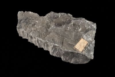 CAMPAGNE LEWARDE 2024_SESSION 2