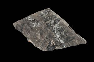 CAMPAGNE LEWARDE 2024_SESSION 2