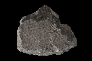 CAMPAGNE LEWARDE 2024_SESSION 2