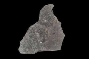 CAMPAGNE LEWARDE 2024_SESSION 2