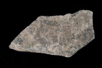 CAMPAGNE LEWARDE 2024_SESSION 2