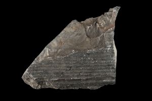 CAMPAGNE LEWARDE 2024_SESSION 2