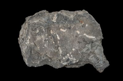 CAMPAGNE LEWARDE 2024_SESSION 2