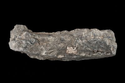 CAMPAGNE LEWARDE 2024_SESSION 2