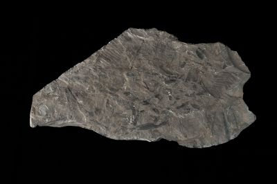 CAMPAGNE LEWARDE 2024_SESSION 2