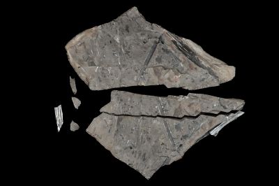 CAMPAGNE LEWARDE 2024_SESSION 2