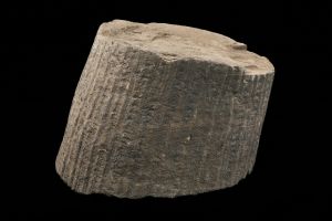 CAMPAGNE LEWARDE 2024_SESSION 2