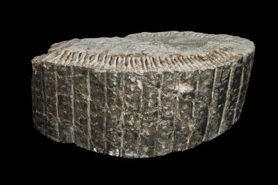 CAMPAGNE LEWARDE 2024_SESSION 2