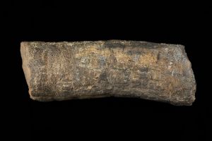 CAMPAGNE LEWARDE 2024_SESSION 2