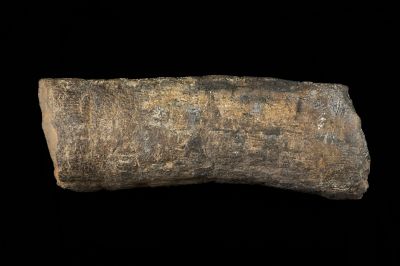 CAMPAGNE LEWARDE 2024_SESSION 2